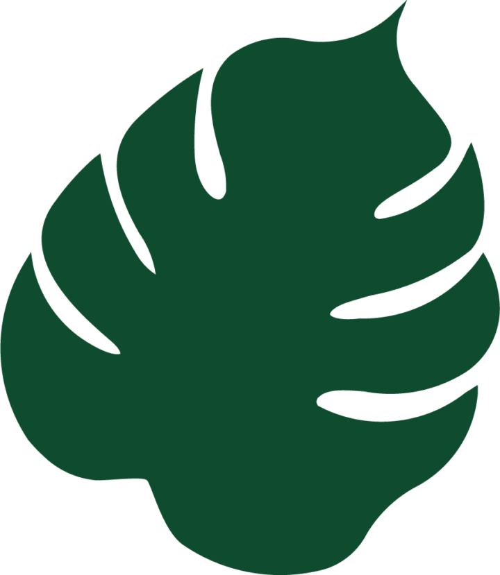 Monstera-darkgreen