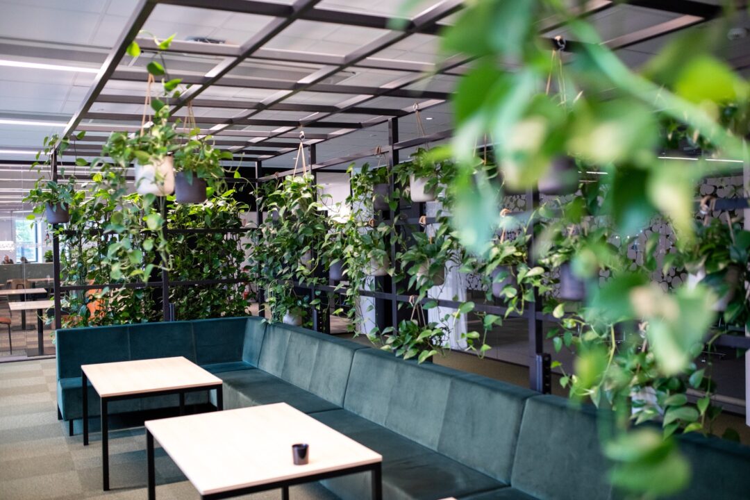 00131 20200902-314_web