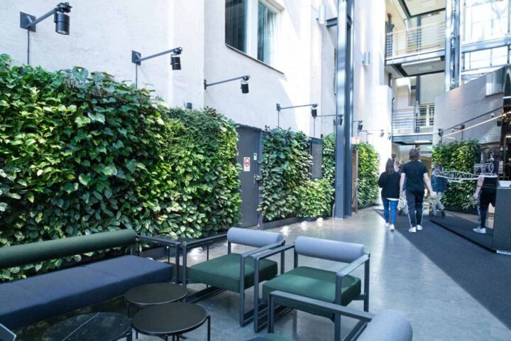 00133-20200910-388-1440×959