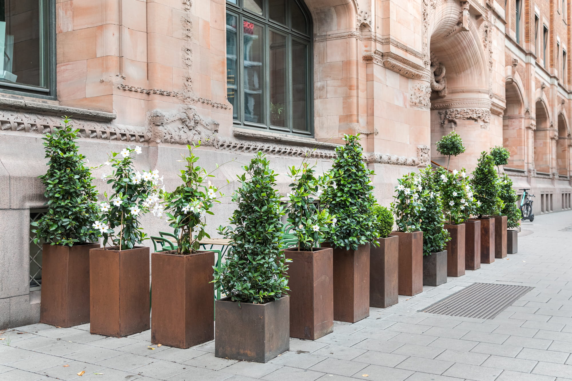 00134 20200915-333 (1)