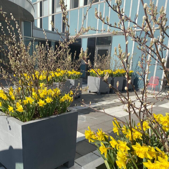 56990A73-A2EA-4348-B441-F0FB5ABC355A