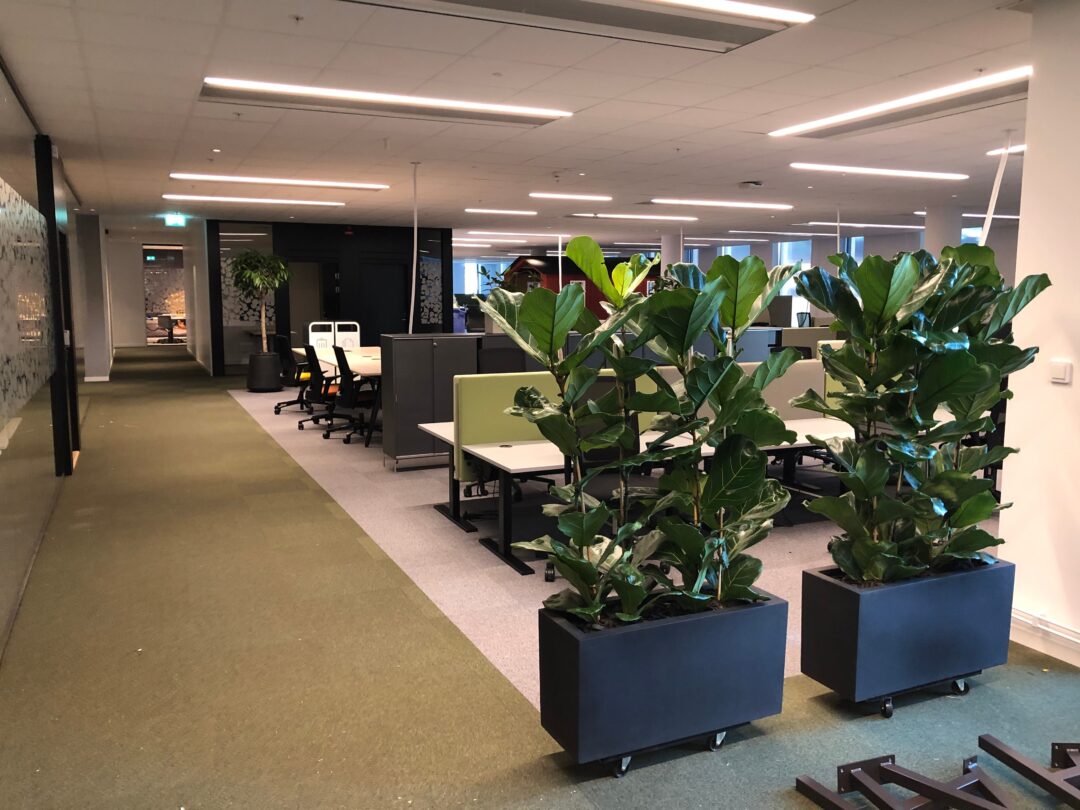 Foto 2019-10-31 14 15 16 (1)