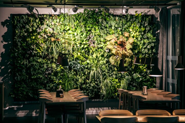 IMG_0180 copy (1) (2)