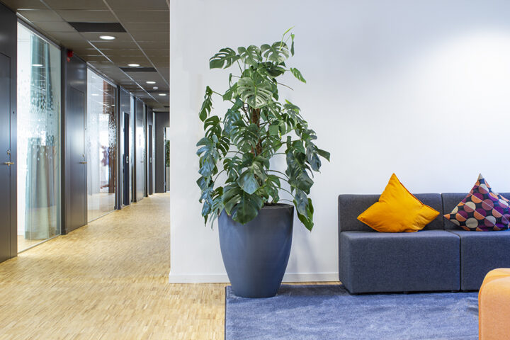 vizrt_ref_session_190926-821_1000