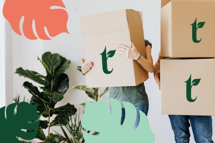 Flytt-kontorsvaxter-1440×960