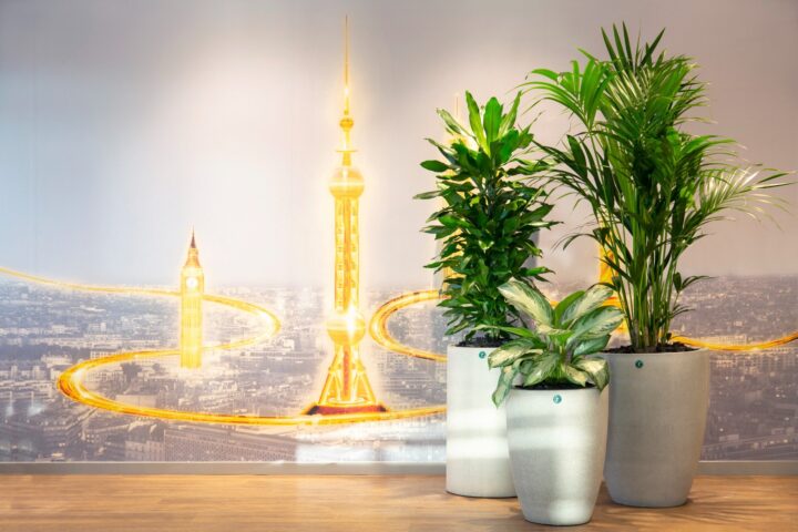 komprimerad_UV8B8856