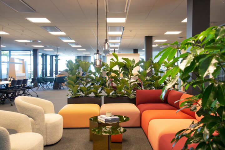 komprimerad_UV8B8991