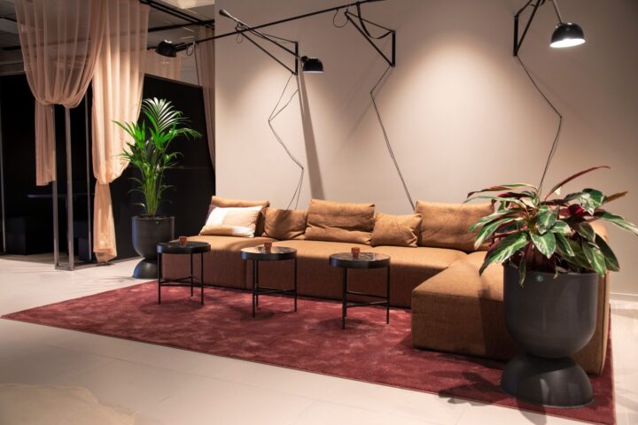 komprimerad_UV8B9055